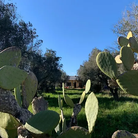 Villa Gioiosa By Salentoltremare