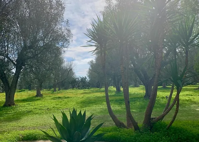 Gioiosa By Salentoltremare Villa Depressa